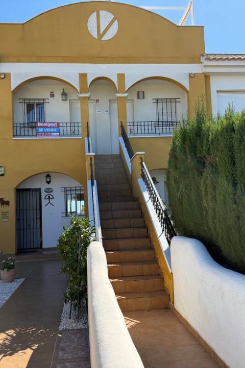 Apartment - Venta - Los Montesinos - Los Montesinos Centro