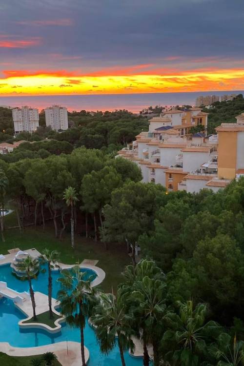 Apartment - Venta - Orihuela - Dehesa de Campoamor