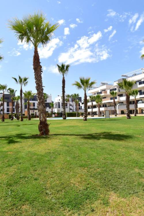 Apartment - Venta - Orihuela - Los Altos