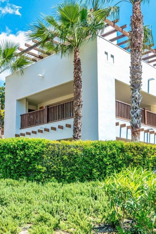 Apartment - Venta - Orihuela - Orihuela Centro