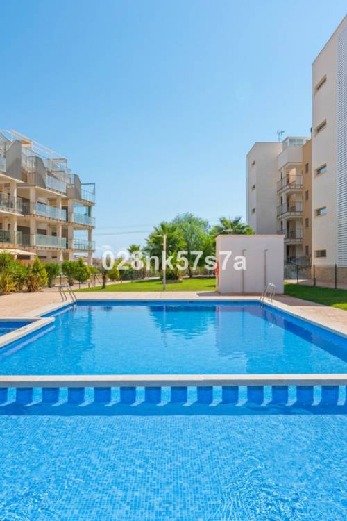 Apartment - Venta - Orihuela - Orihuela Costa