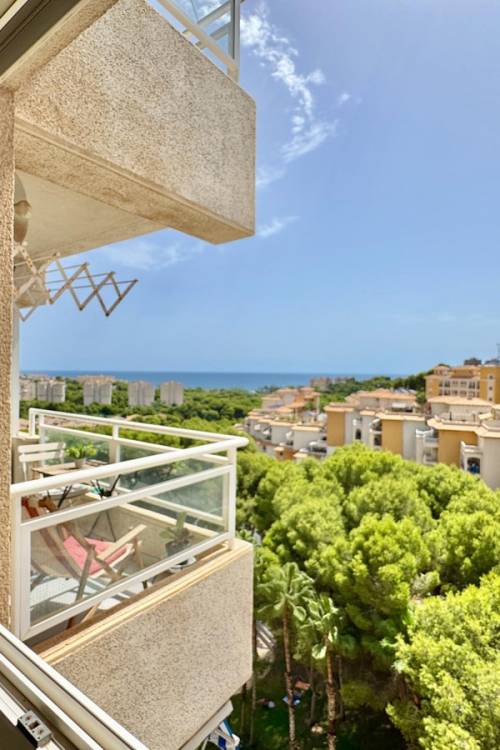 Apartment - Venta - Orihuela - Orihuela Costa