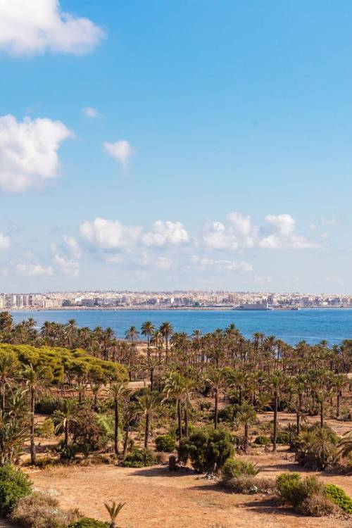 Apartment - Venta - Orihuela - Punta Prima