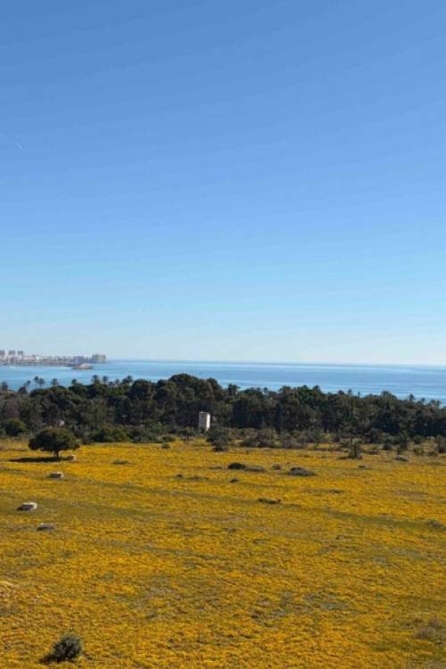Apartment - Venta - Orihuela - Punta Prima
