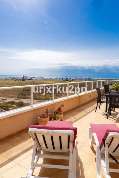 Apartment - Venta - Orihuela - Villamartin