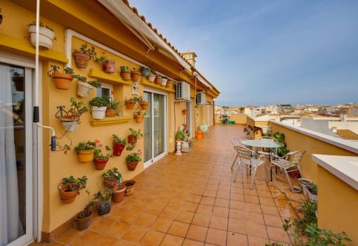 Apartment - Venta - Pilar de la Horadada - RO--24675