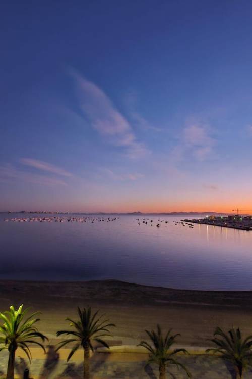 Apartment - Venta - Pilar de la Horadada - Torre de la Horadada