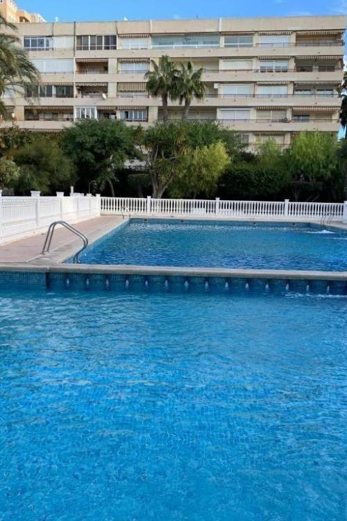 Apartment - Venta - Torrevieja - Los Frutales