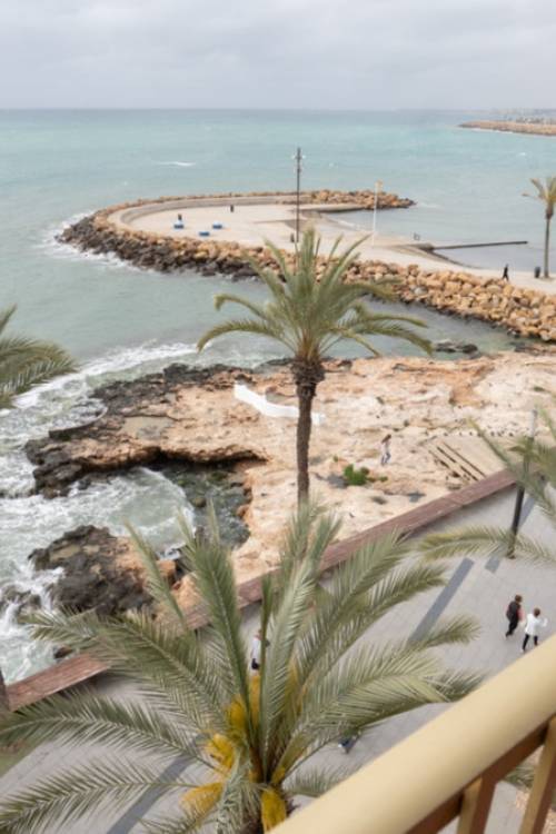 Apartment - Venta - Torrevieja - Torrevieja Centro