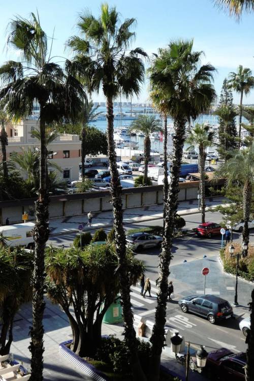 Apartment - Venta - Torrevieja - Torrevieja Centro