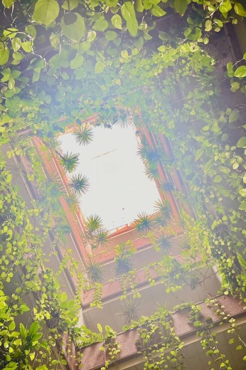 Apartment - Venta - Torrevieja - Torrevieja Centro