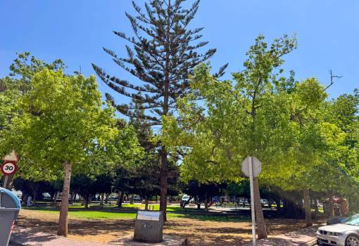 Apartment - Venta - Torrevieja - Torrevieja Centro