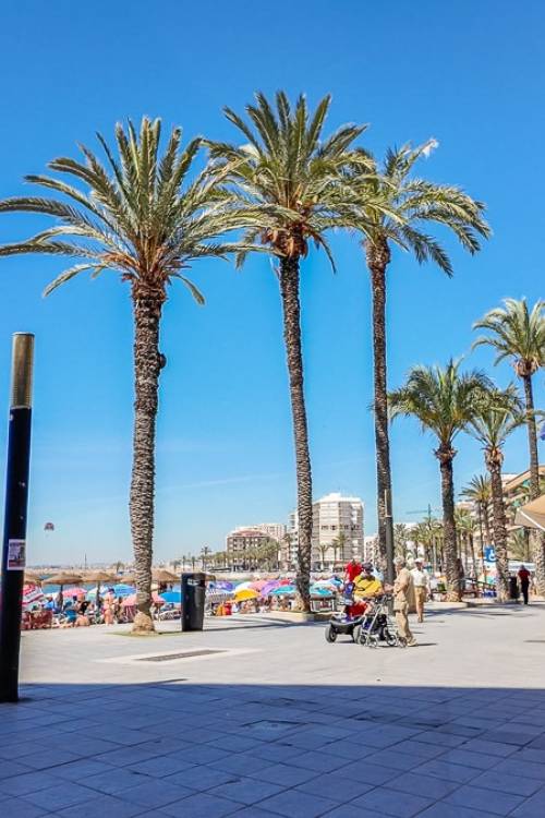 Apartment - Venta - Torrevieja - Torrevieja Centro