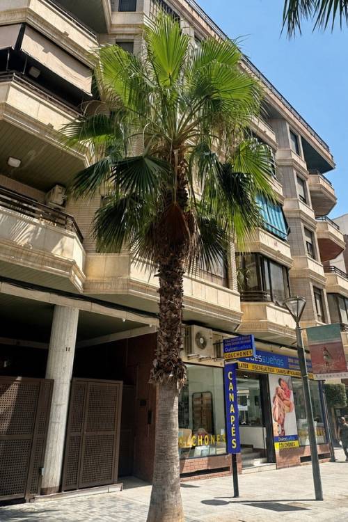 Apartment - Venta - Torrevieja - Torrevieja Centro