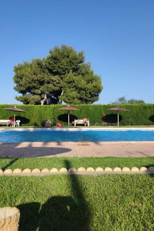 Bungalow - Venta - Torrevieja - Centro