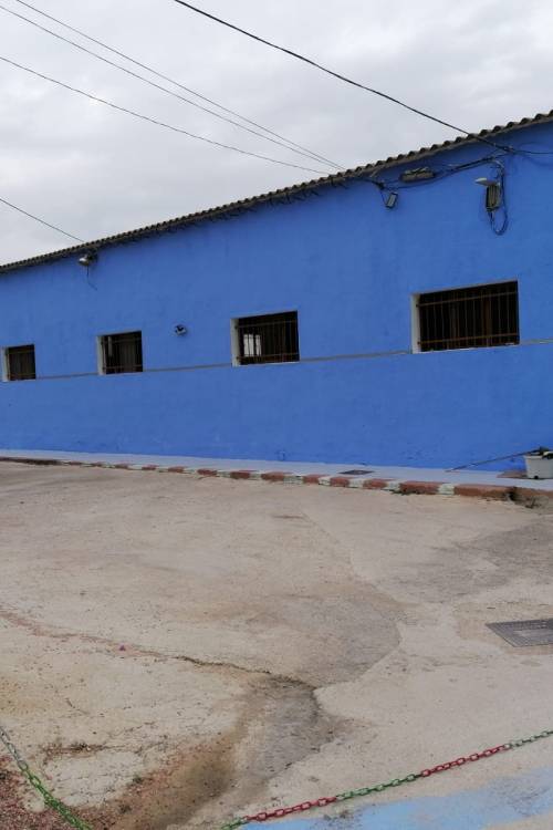 Casa de campo - Sale - Los Montesinos - Los Montesinos