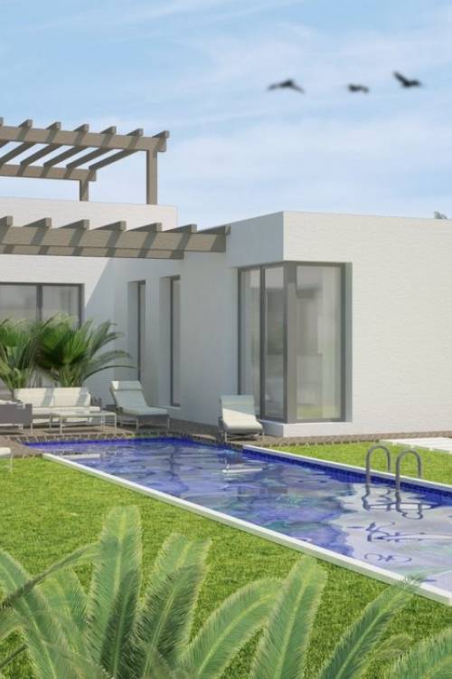 Chalet - Nueva construcción  - Benijofar - Benijofar