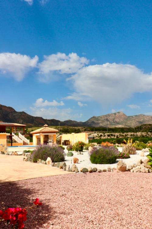 Chalet - Venta - Albatera - Albatera Centro