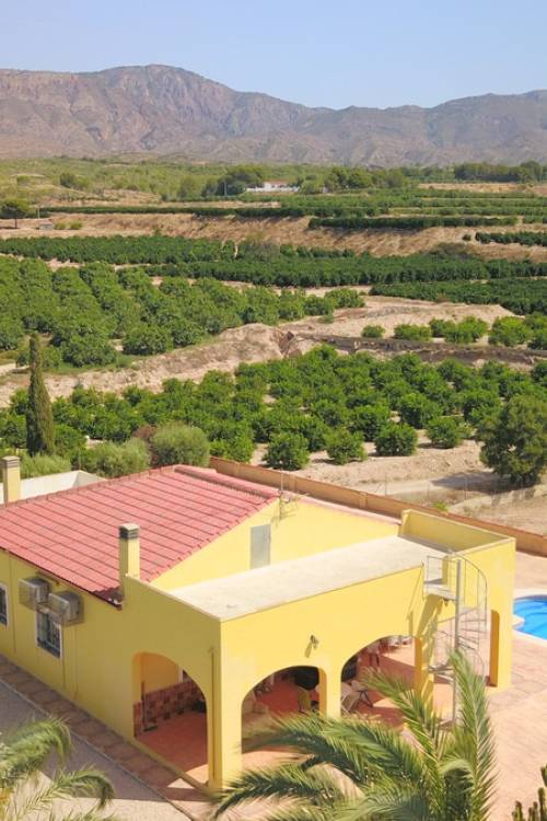 Chalet - Venta - Albatera - Albatera Centro