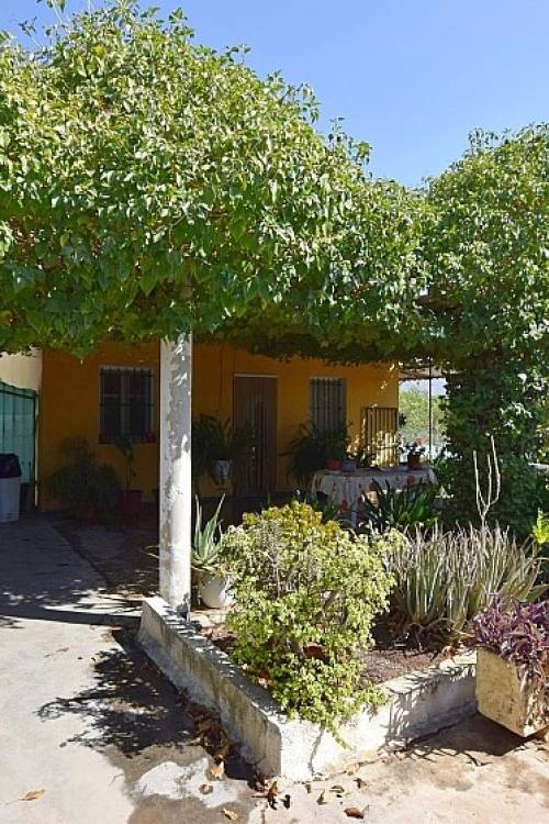 Chalet - Venta - Albatera - Albatera Centro