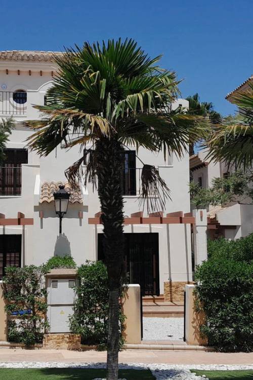 Chalet - Venta - Algorfa - Algorfa Centro