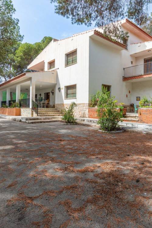 Chalet - Venta - Alicante - Alicante Centro