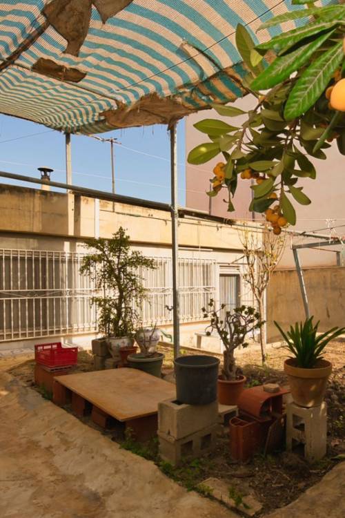 Chalet - Venta - Benijofar - Benijofar