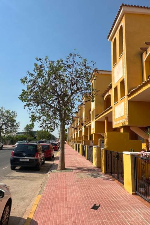 Chalet - Venta - Daya Nueva - Daya Nueva Centro