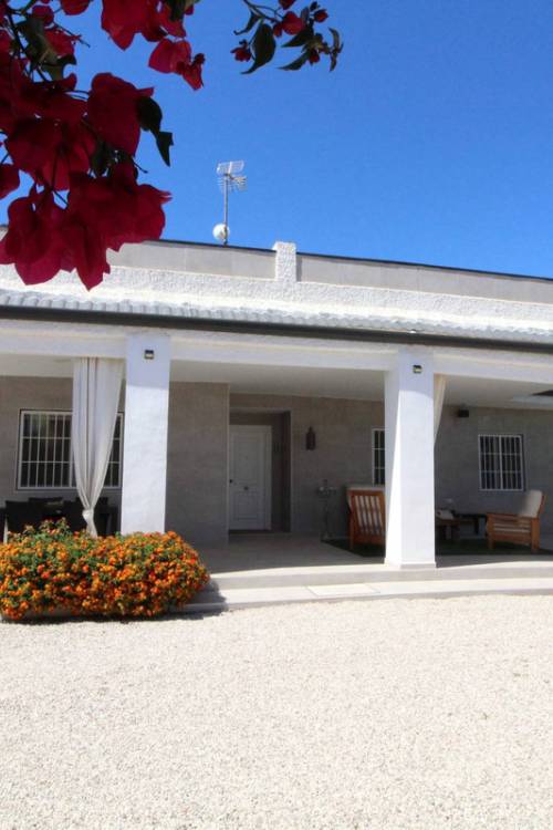 Chalet - Venta - Elche - Elche Centro