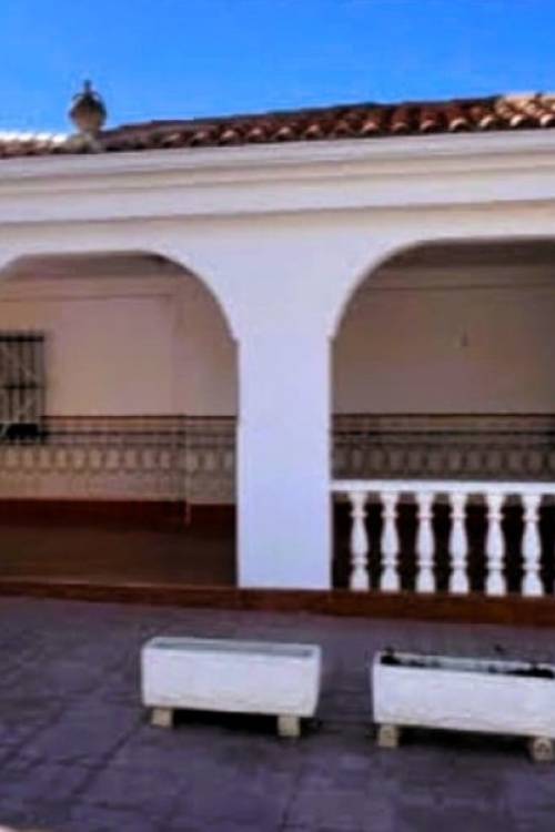 Chalet - Venta - Elche - Elche Centro