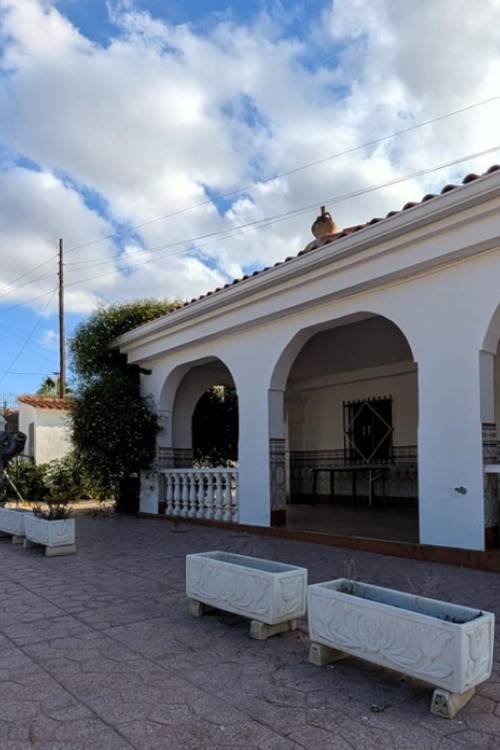 Chalet - Venta - Elche - Elche Centro