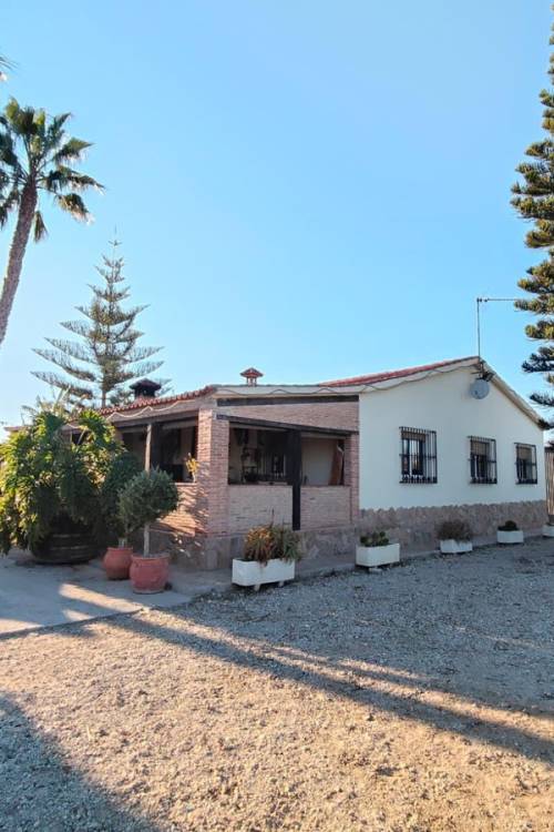 Chalet - Venta - Elche - Las Bayas