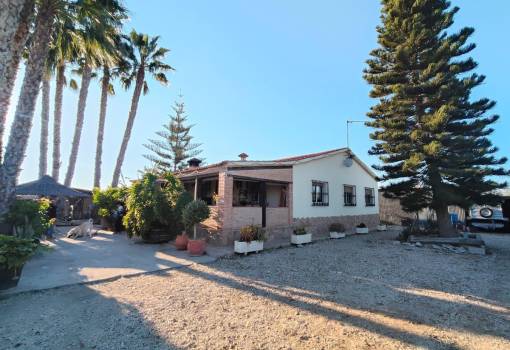 Chalet - Venta - Elche - RO-20441