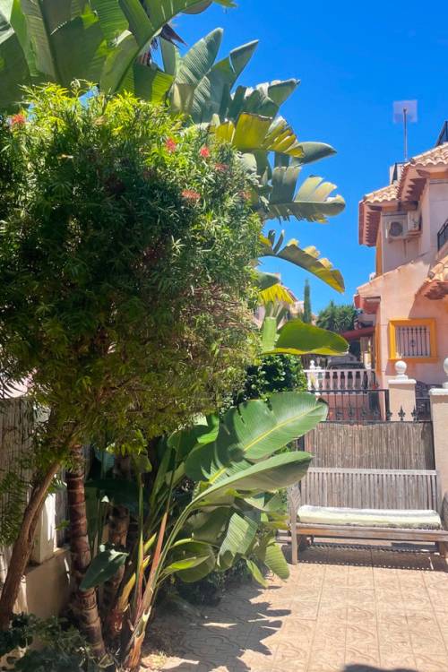 Chalet - Venta - Orihuela - La Regia