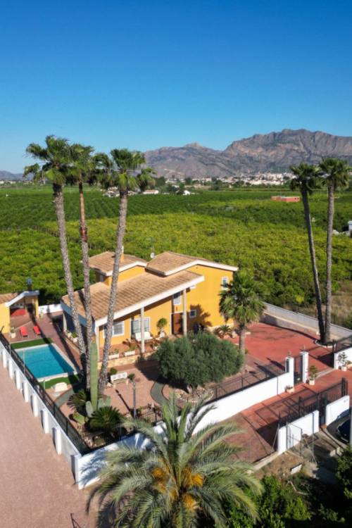 Chalet - Venta - Orihuela - Orihuela Centro