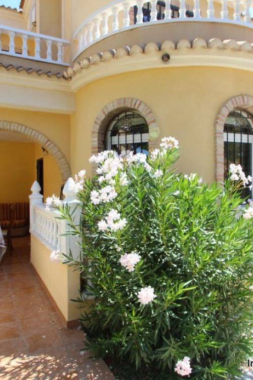 Chalet - Venta - Orihuela - Orihuela Costa