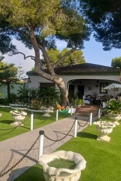 Chalet - Venta - Orihuela - Orihuela Costa