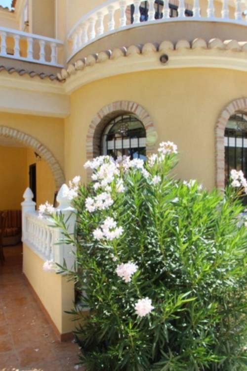 Chalet - Venta - Orihuela - Villamartin