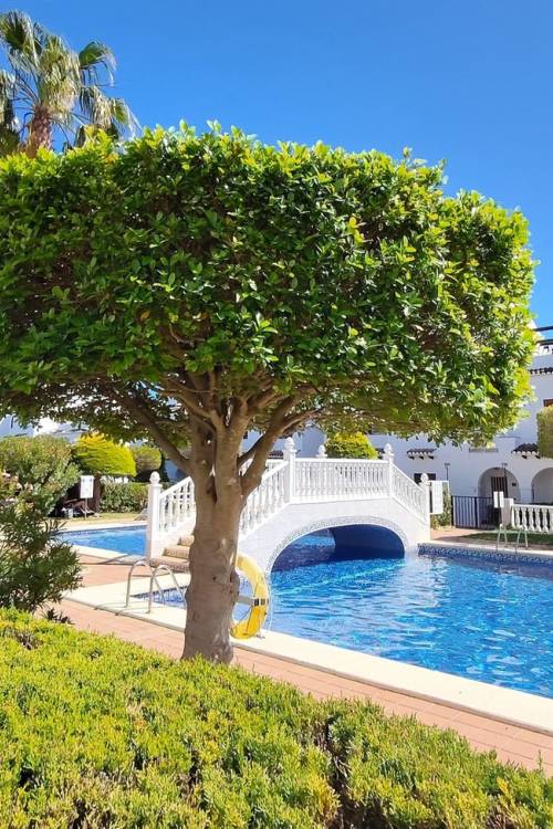 Chalet - Venta - Rojales - Ciudad Quesada