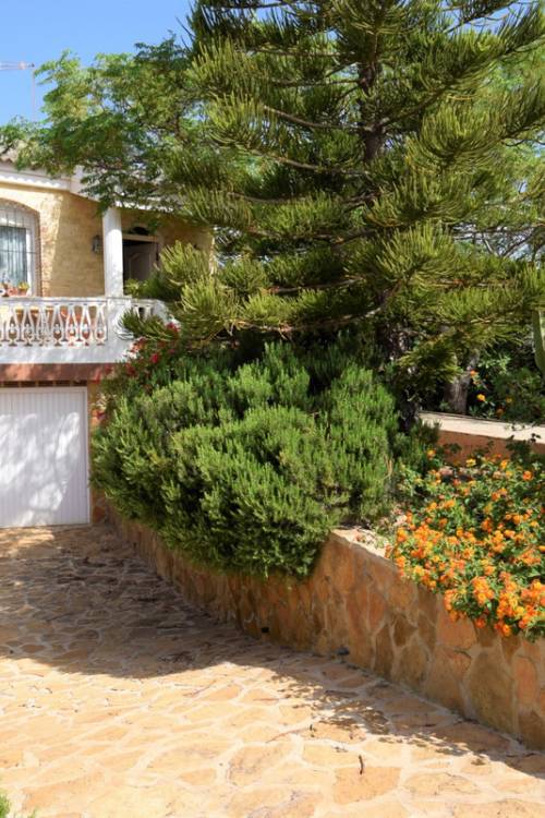 Chalet - Venta - Torrevieja - Aguas Nuevas