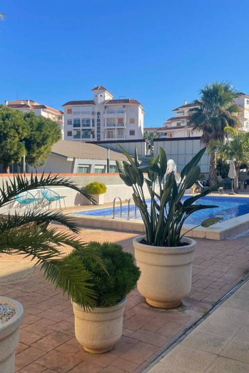 Chalet - Venta - Torrevieja - La Mata