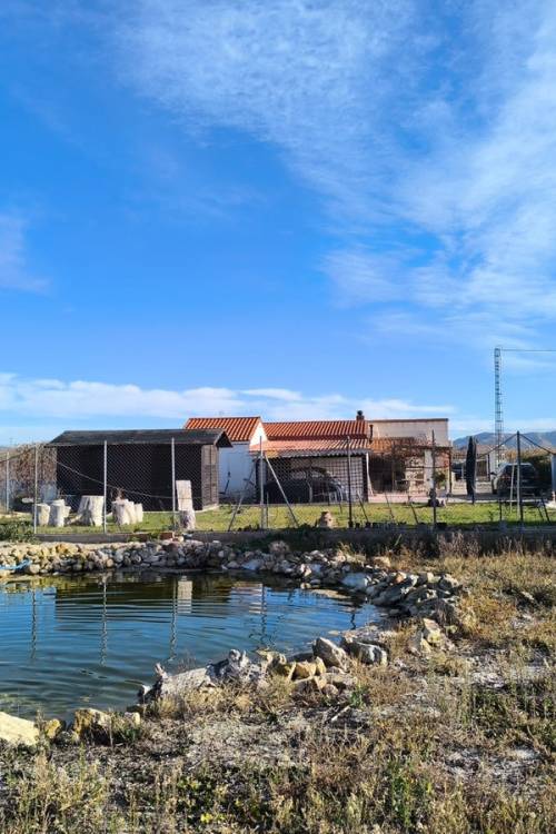 Chalet - Venta - Villena - Villena Centro