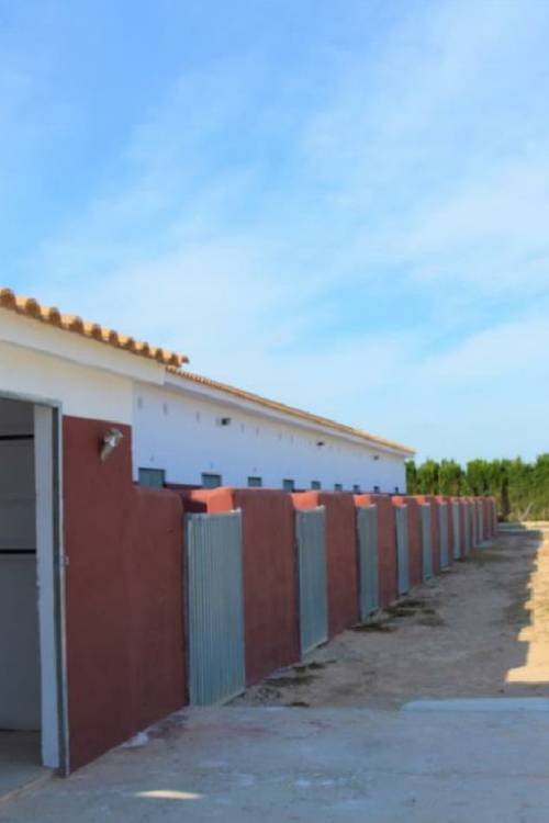 Commercial property - Venta - San Miguel de Salinas - San Miguel de Salinas Centro