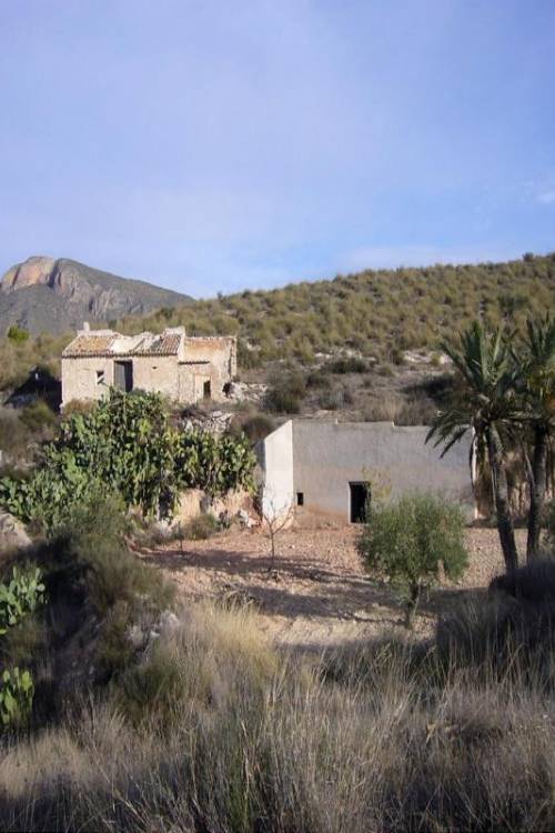 Country House - Sale - Abanilla - Macisvenda