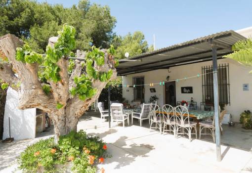 Country House - Sale - Dolores - RO--94287