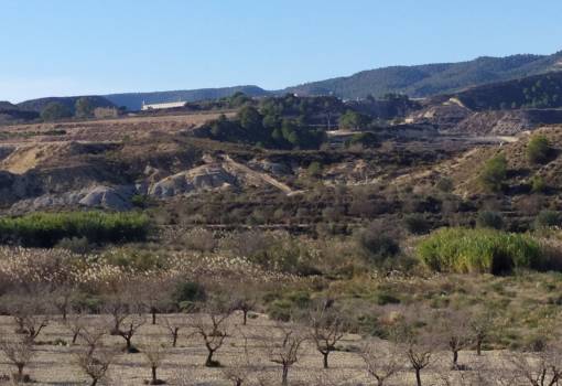 Country House - Sale - Orihuela - Orihuela Centro