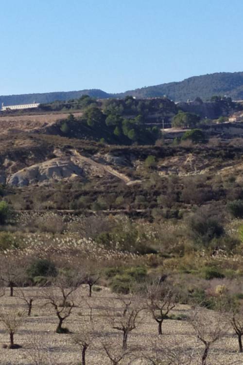 Country House - Sale - Orihuela - Orihuela Centro