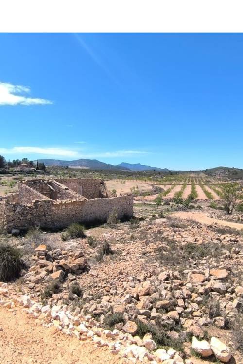 Country House - Sale - Pinoso - Pinoso Centro