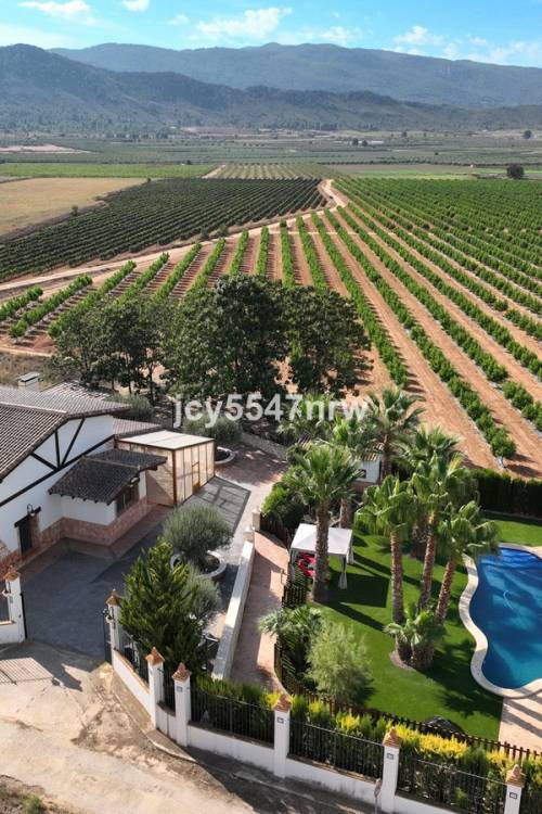 Country House - Sale - Yecla - Yecla Centro