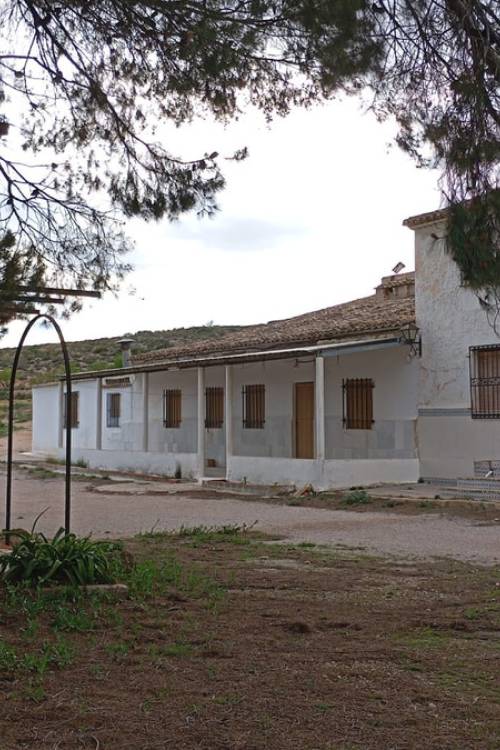 Country House - Sale - Yecla - Yecla Centro